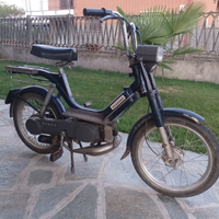 Piaggio bravo immatricolato