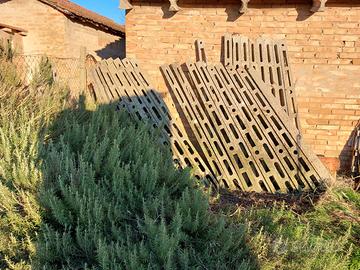 pali in cemento per filari