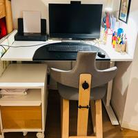 SCRIVANIA IKEA TEOTTEN