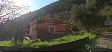  proprietà immersa nel verde dei monti lepini