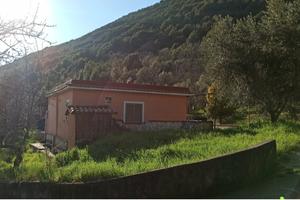  proprietà immersa nel verde dei monti lepini