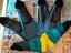 Immagine 1