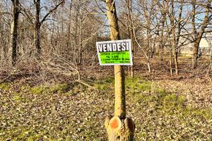 Terreno edificabile in Via Crosa a Cerano