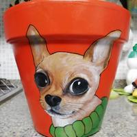 Vaso diam 23 lborderC cihuahua