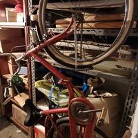 Bicicletta rossa stile Graziella