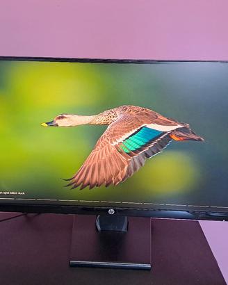 Monitor HP 22W FULLHD LED con HDMI-VGA 22 pollici