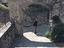 Immagine 6