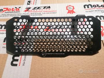 griglia radiatore ducati