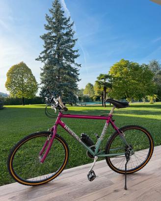 Mountain Bike MTB Torpado 26" rosa/verde