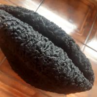 COLBACCO in agnellino