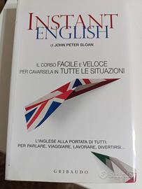 Istant English