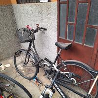 bicicletta graziella