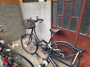 bicicletta graziella