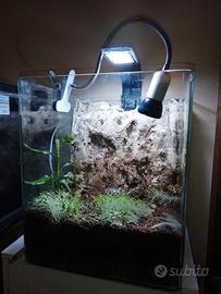 acquario trasformato in terrario