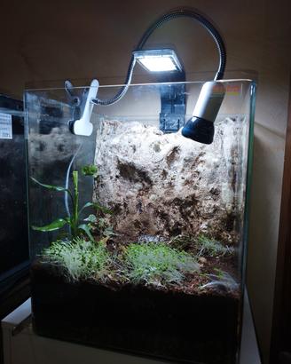 acquario trasformato in terrario