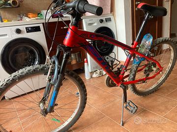 Bicicletta mountain bike