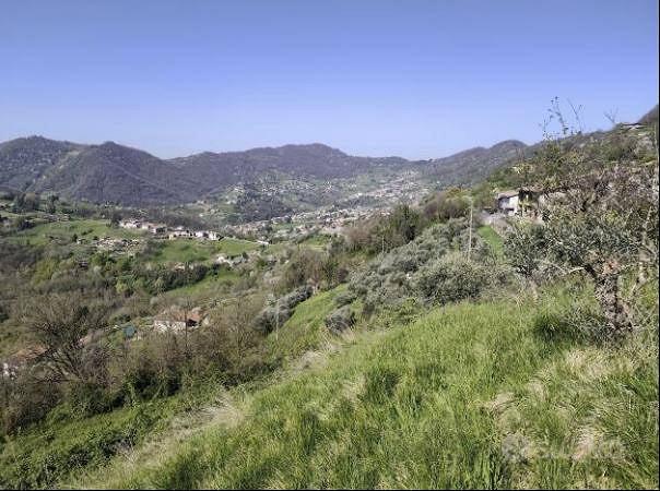 Immobile in asta di 11730 m² a Adrara San Martino - Vista 4