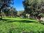 Immagine 13