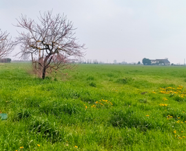 Terreno agricolo con magazzino