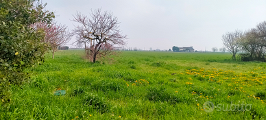 Terreno agricolo con magazzino