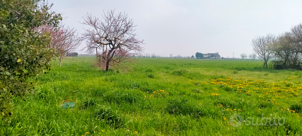 Terreno agricolo