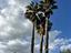 Immagine 21