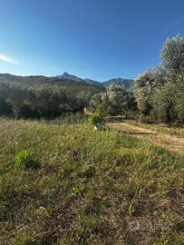 Terreno rustico