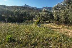 Terreno rustico