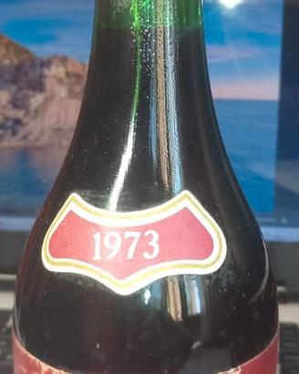 Vino Rosso Riviera del Garda Prandell 1973