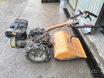 motocoltivatore ape regina 