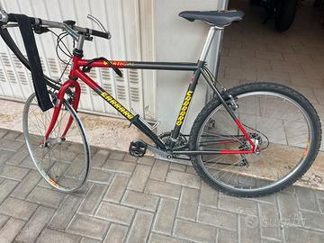 Bicicletta carrera