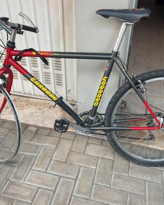 Bicicletta carrera