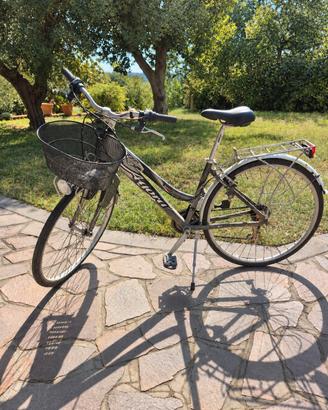 Bicicletta da passeggio
