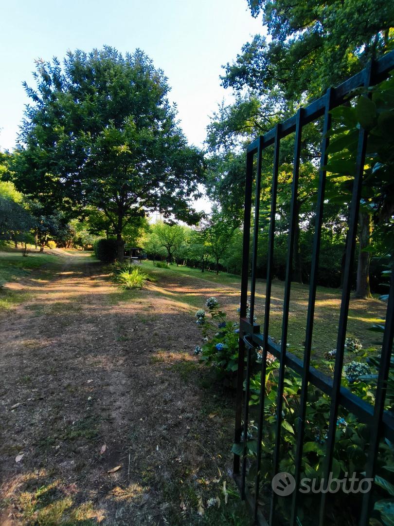 Terreno agricolo boschivo, 5780 m² - Vista 2