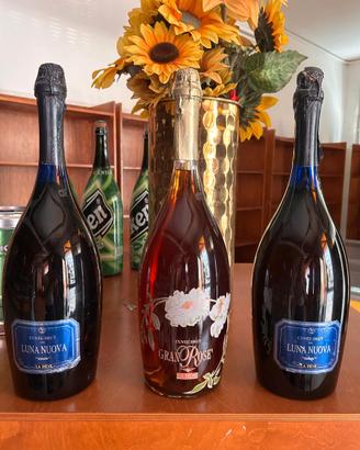 Vino luna nuova e gran rosè