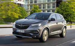 Opel grandland 2016-2021 ricambi musata portiere