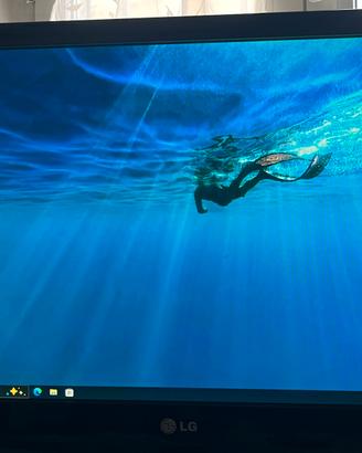 (TV + Monitor PC) LCD LG 22 Pollici