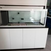 Acquario da arredamento Marino/Dolce