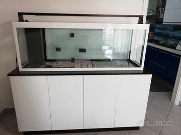 Acquario da arredamento Marino/Dolce