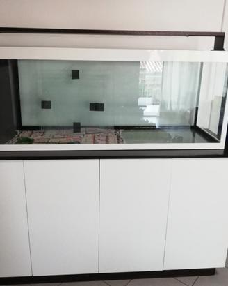 Acquario da arredamento Marino/Dolce