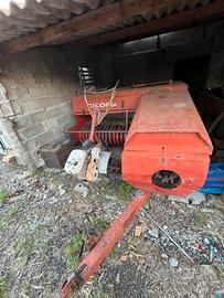 Imballatrice cicoria 480