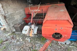 Imballatrice cicoria 480