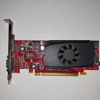 Scheda video Geforce 310 - 512 Mb Ram