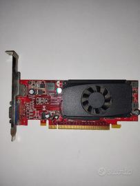 Scheda video Geforce 310 - 512 Mb Ram