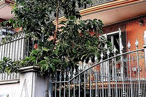 Casal del Marmo vicinanze staz ottavia in villino