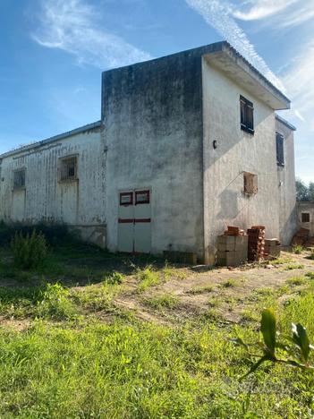 Zona La Landrigga terreno-uliveto con fabbricato