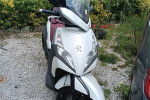 Peugeot Geopolis 300