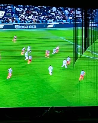 TV SONY BRAVIA 48 POLLICI PER RICAMBI