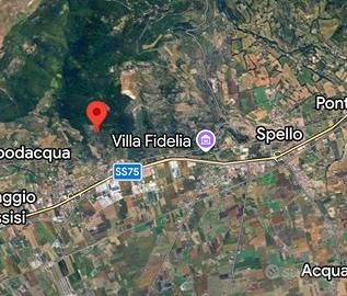 Terreno con ulivi