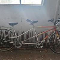 Tandem Wander uomo/donna